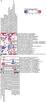 Transcriptional Modulation of Polyamine Metabolism in Fruit Species Under Abiotic and Biotic Stress